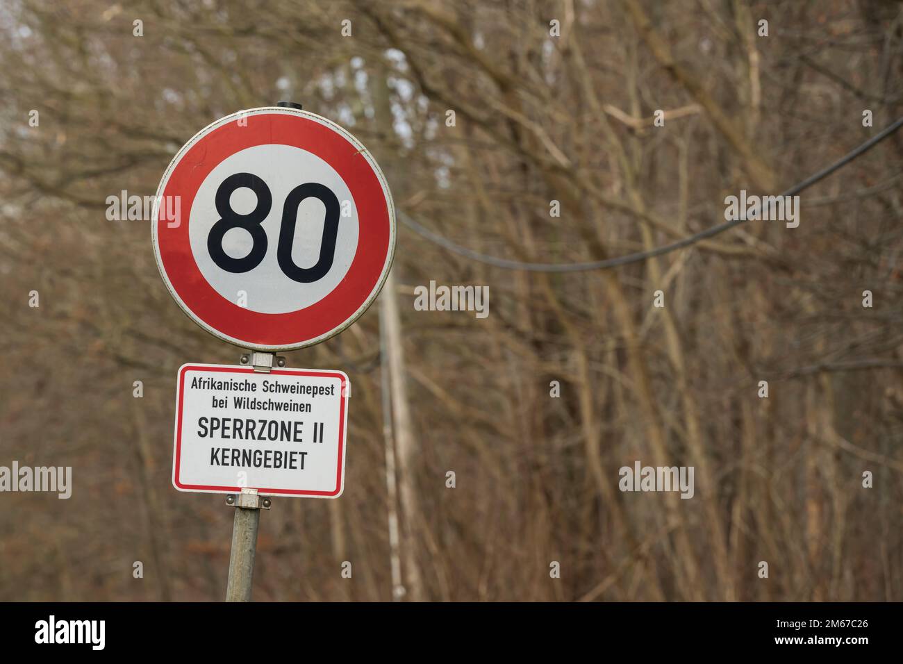 Segno con iscrizione tedesca , peste suina africana in cinghiale , zona limitata 2 , zona centrale Foto Stock