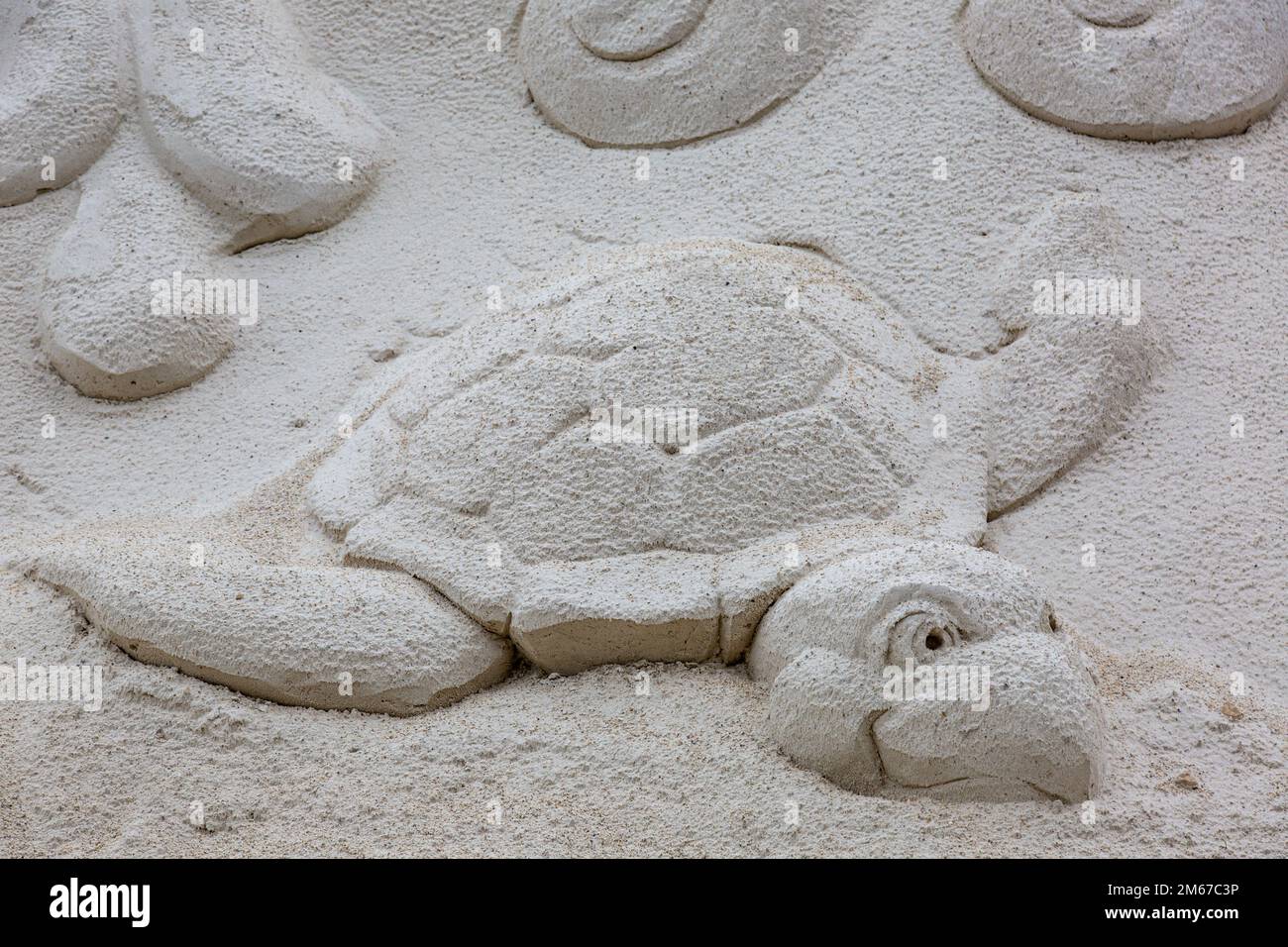 Una scultura di sabbia di Mark Mason e del Team Sandtastic raffigura una tartaruga marina a West Palm Beach, Florida, USA. Foto Stock