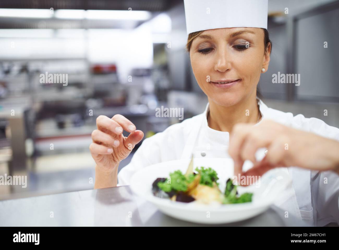 La placcatura è un'arte. Uno chef mette i tocchi finali su un piatto da pranzo in una cucina professionale. Foto Stock