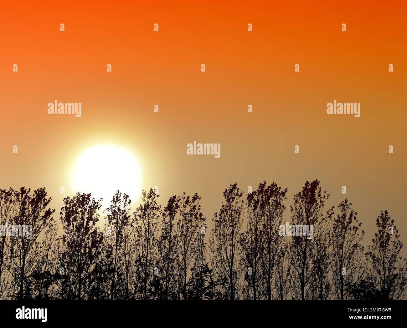 Guarda l'alba. Un bellissimo scatto naturale di un ambiente all'aperto. Foto Stock