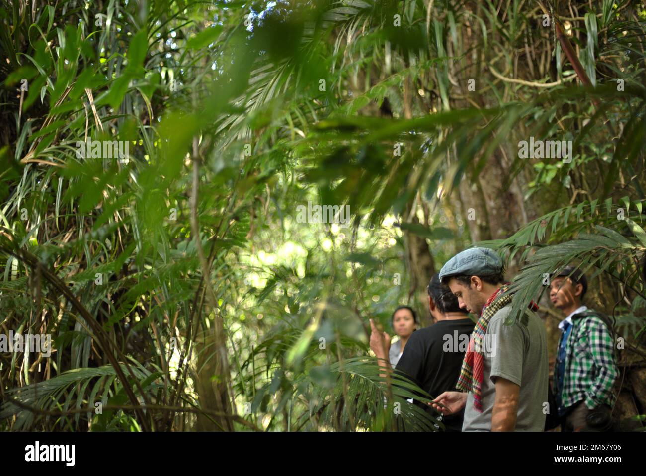 I partecipanti che prenderanno una pausa da un'escursione nella foresta pluviale per godere dell'atmosfera ai piedi del vulcano Gede, all'interno dell'area del Parco Nazionale di Gede Pangrango, durante il 'Festival Sarongge', un evento agricolo di ringraziamento che si svolge contemporaneamente alla celebrazione della giornata dell'indipendenza dell'Indonesia, Che viene commemorata ogni anno il 17 agosto, a Ciputri, Pacet, Cianjur, Giava Occidentale, Indonesia. Foto Stock