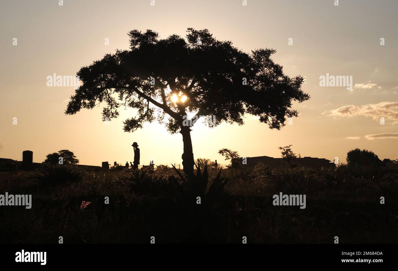 Ombre al tramonto in un villaggio africano in una tarda estate raffigurante una vita lenta e pacifica Foto Stock