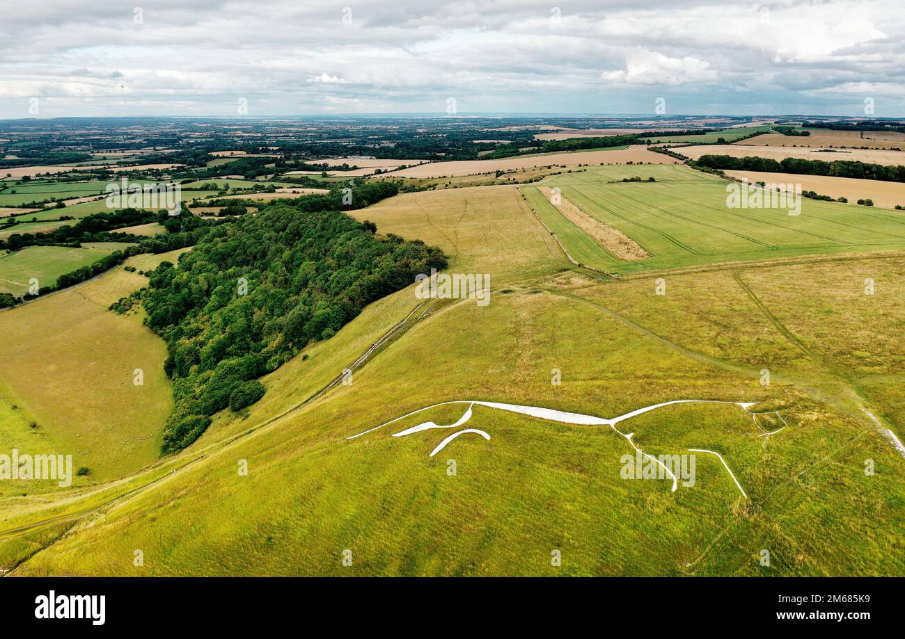 Uffington White Horse. 3500 anni di gesso preistorico figura scolpita in un gesso collina del Berkshire Downs, Inghilterra. 110 metri di lunghezza. Guardando verso est Foto Stock