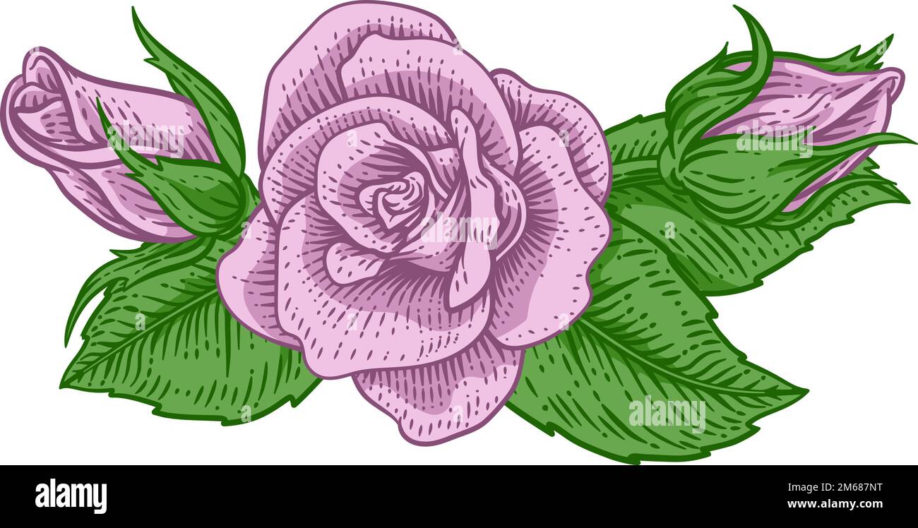 Rose Flower Design Woodcut Vintage retro Style Illustrazione Vettoriale