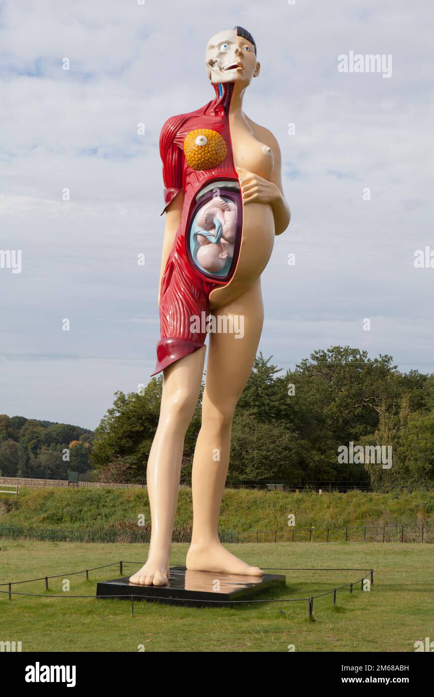 La Vergine Madre dell'artista Damien Hirst qui esposta allo Yorkshire Sculpture Park Foto Stock