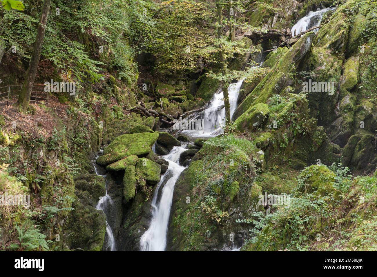 La cascata di Stock Ghyll Force è a pochi passi attraverso una valle boscosa dalla città di Ambleside nel Lake District Foto Stock
