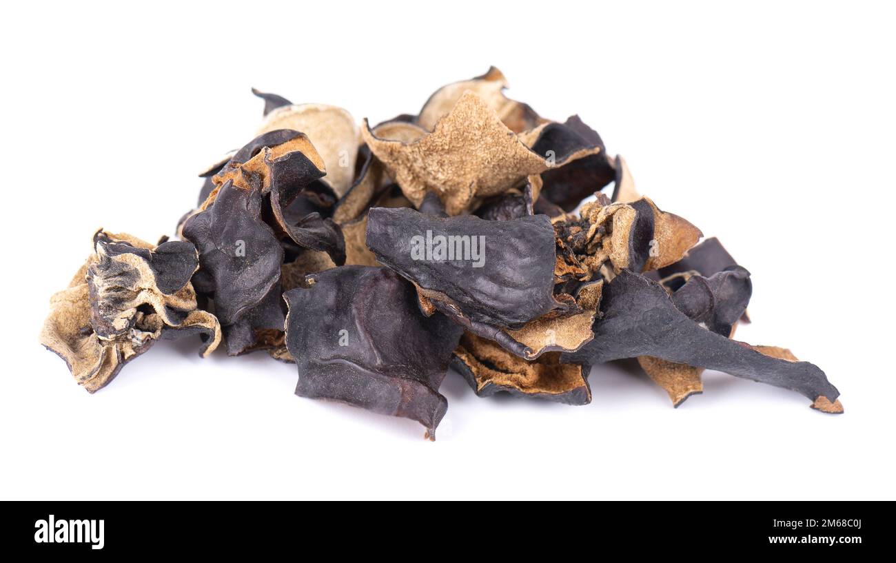 Fungo nero secco isolato su sfondo bianco. Funghi neri cinesi o funghi muer neri dell'albero. Auricularia polytricha Foto Stock