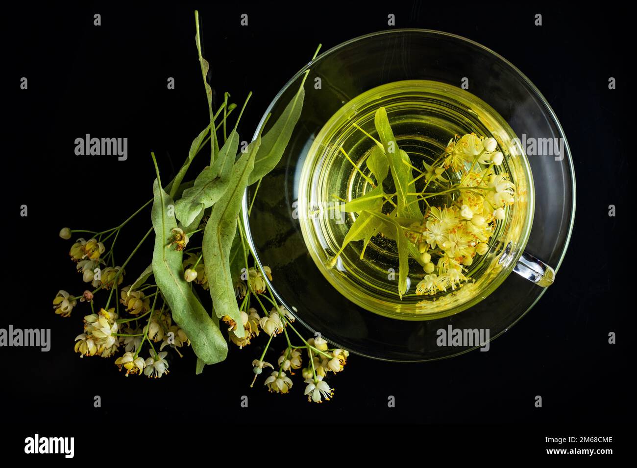 Tazza di tisana con fiori di tiglio su sfondo nero. Foto Stock