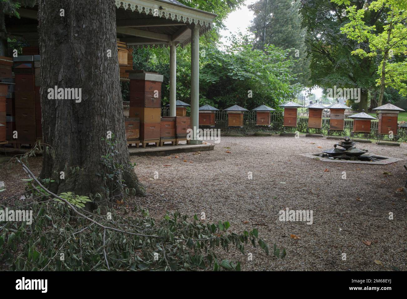 Alveari d'api nel Jardin Du Luxembourg di Parigi che aiutano a impollinare il frutteto lì Foto Stock