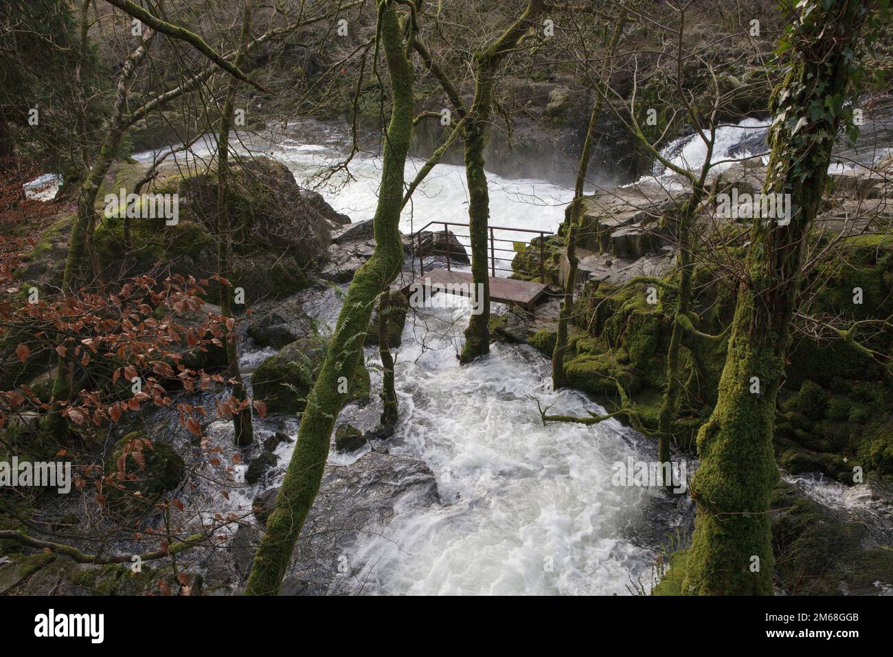 Il fiume Brathay cade sulle cascate Skelwith Force nel distretto dei laghi Foto Stock