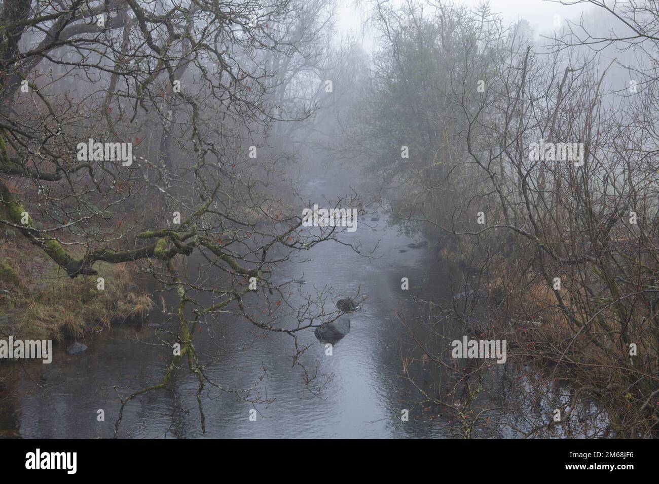 Nebbia mattutina sul fiume Branthey, a Little Langdale, il Lake District Foto Stock