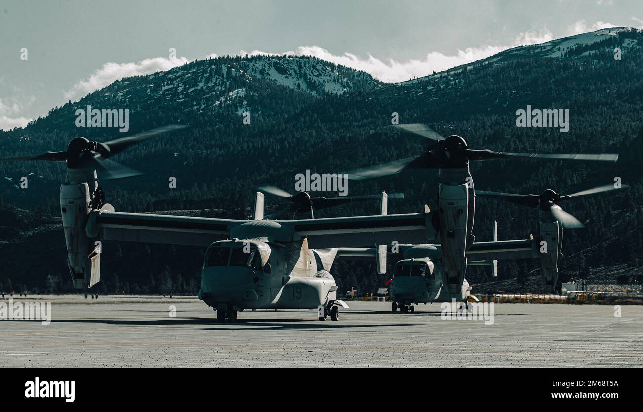 STATI UNITI Marine Corps MV-22B Osprey Aircraft with Marine Medium Tiltrotor Squadron (VMM) 162, Marine Aircraft Group 26, 2nd Marine Aircraft Wing si preparano a decollare dall'Expeditionary Airfield, Marine Corps Mountain Warfare Training Center, Bridgeport, California, 19 aprile 2022. Gli Ospreys volarono Marines e soldati a Hawthorne Army Depot, Nevada, per condurre un'esercitazione di raid notturno ad alta quota in una struttura urbana. Foto Stock
