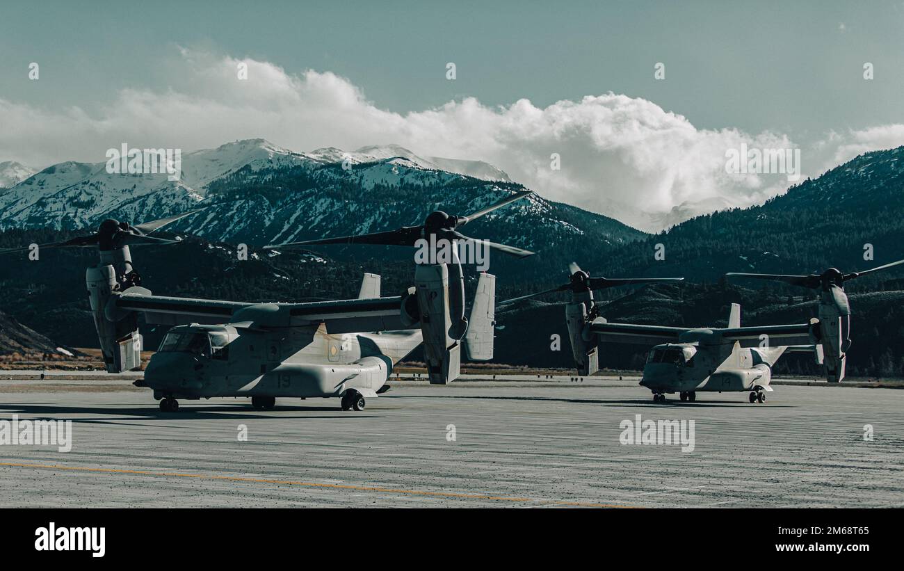 STATI UNITI Marine Corps MV-22B Osprey Aircraft with Marine Medium Tiltrotor Squadron (VMM) 162, Marine Aircraft Group 26, 2nd Marine Aircraft Wing si preparano a decollare dall'Expeditionary Airfield, Marine Corps Mountain Warfare Training Center Bridgeport, California, 19 aprile 2022. Gli Ospreys volarono Marines e soldati a Hawthorne Army Depot, Nevada, per condurre un'esercitazione di raid notturno ad alta quota in una struttura urbana. Foto Stock