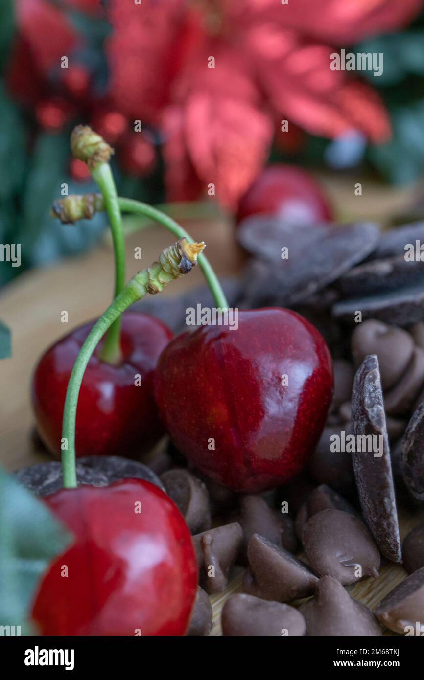 ciliegie rosse fresche e boccioli di cioccolato fondente Foto Stock