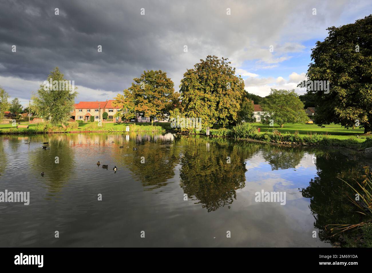 Vista sul laghetto delle anatre del villaggio di Great Massingham, North Norfolk, Inghilterra, Regno Unito Foto Stock