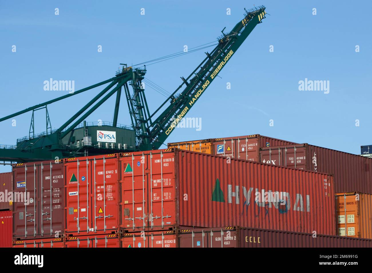 Container nel porto di Zeebrugge Foto Stock