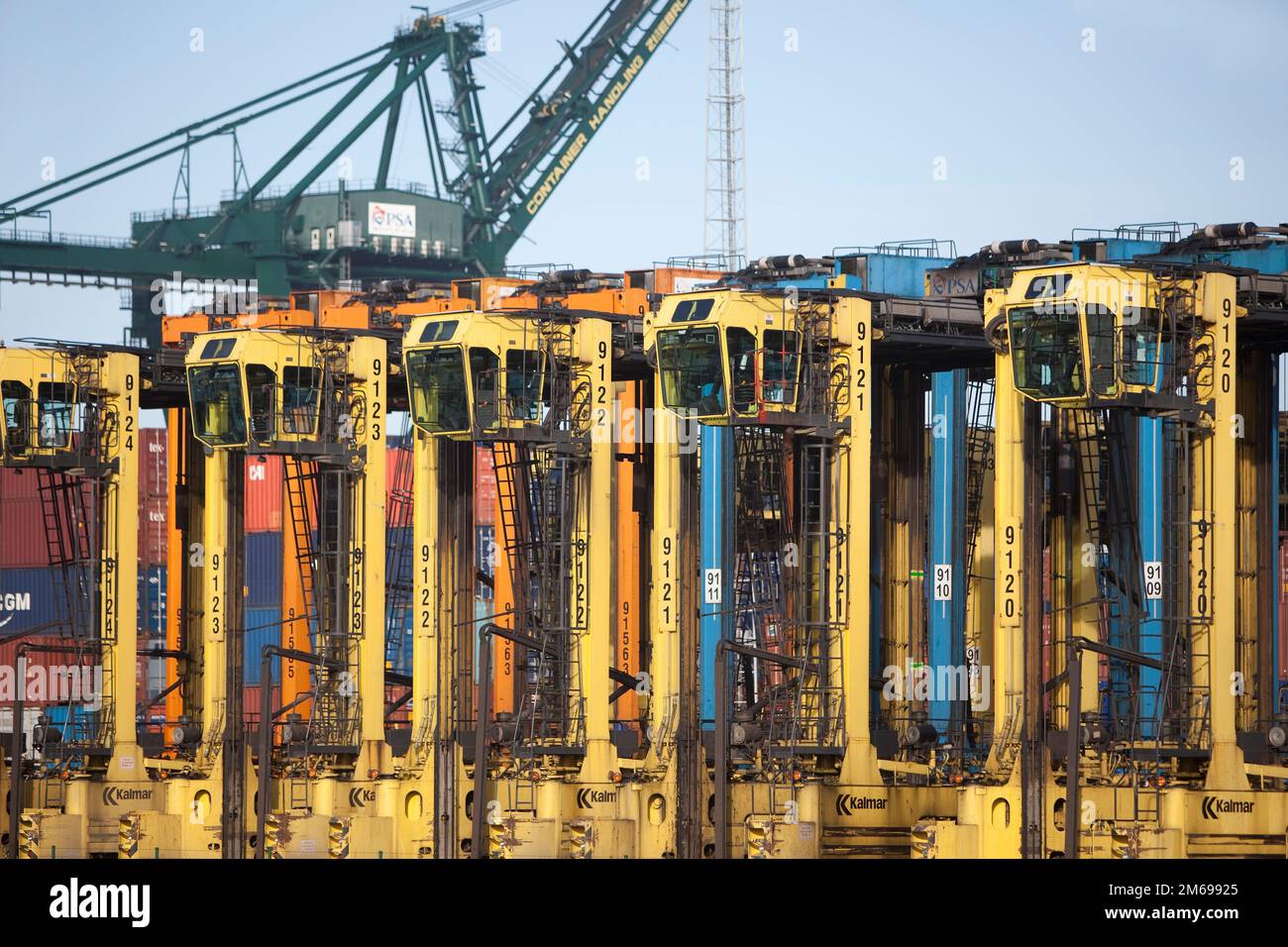 Container nel porto di Zeebrugge Foto Stock