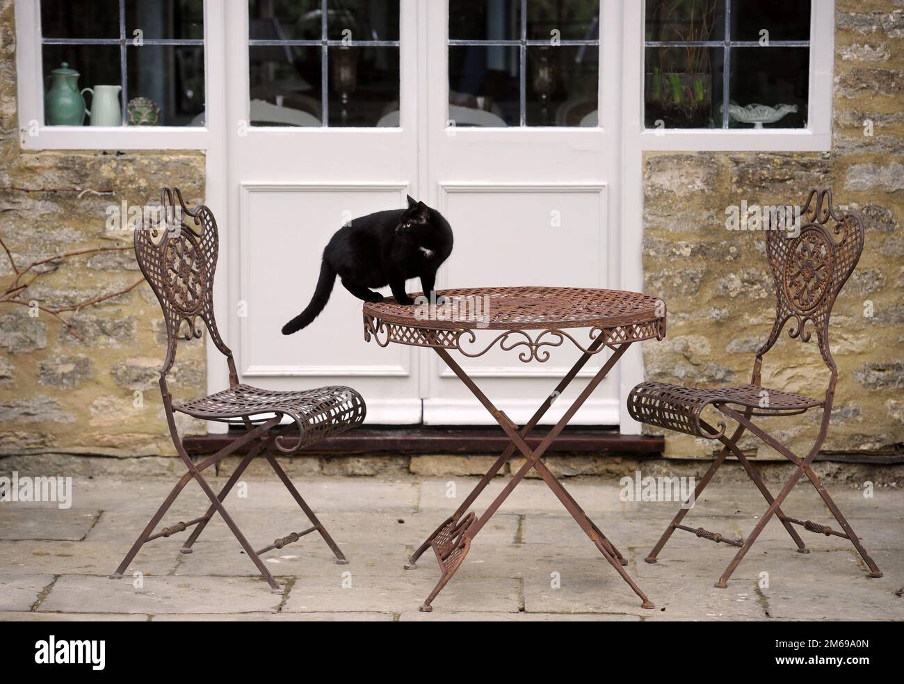 Gatto nero su mobili da giardino Foto Stock