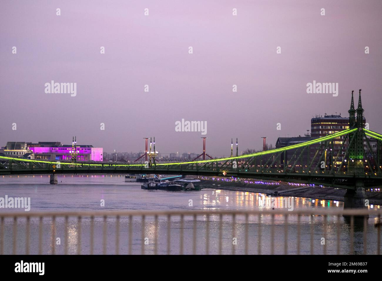 Ponte della libertà di sera, Budapest, Ungheria Foto Stock
