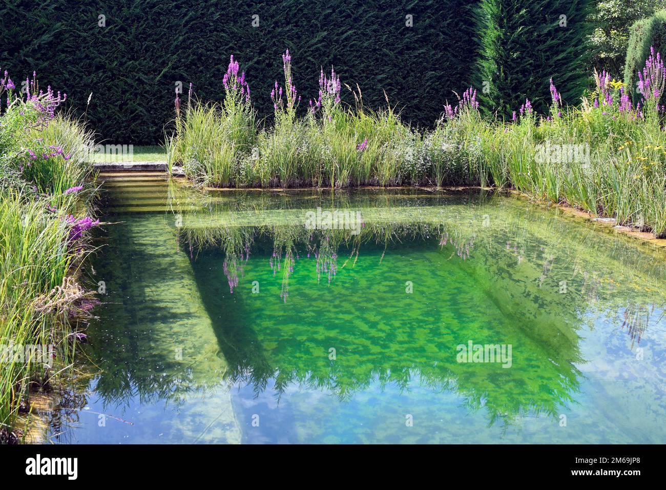 Schiltern, Austria - 08 agosto 2022: Piscina con fiori in Kittenberger avventura giardino un'oasi con innumerevoli piante, scene e luoghi di avventura in Foto Stock