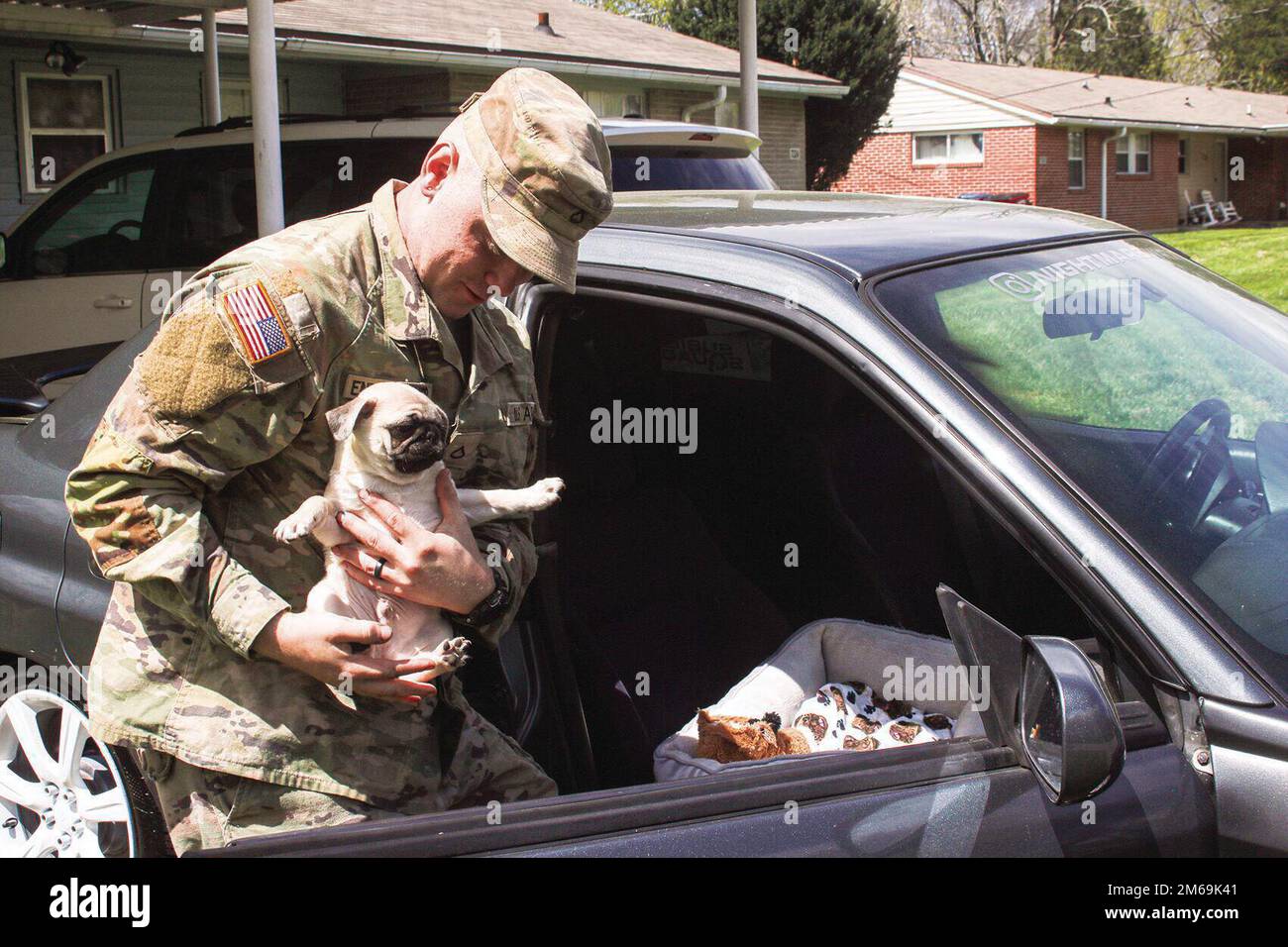 Privato di prima classe Justin Enzenbacher, 3rd battaglione, 187th reggimento fanteria, 3rd squadra di combattimento Brigade, 101st Divisione Airborne (Air Assault), porta il suo Ludo pug alla macchina per una corsa con il suo letto e un giocattolo preferito al traino. L'adozione di misure per preparare gli animali domestici per lunghi viaggi in auto associati al cambio permanente della stazione può ridurre lo stress durante lo spostamento DEL PC. Foto Stock