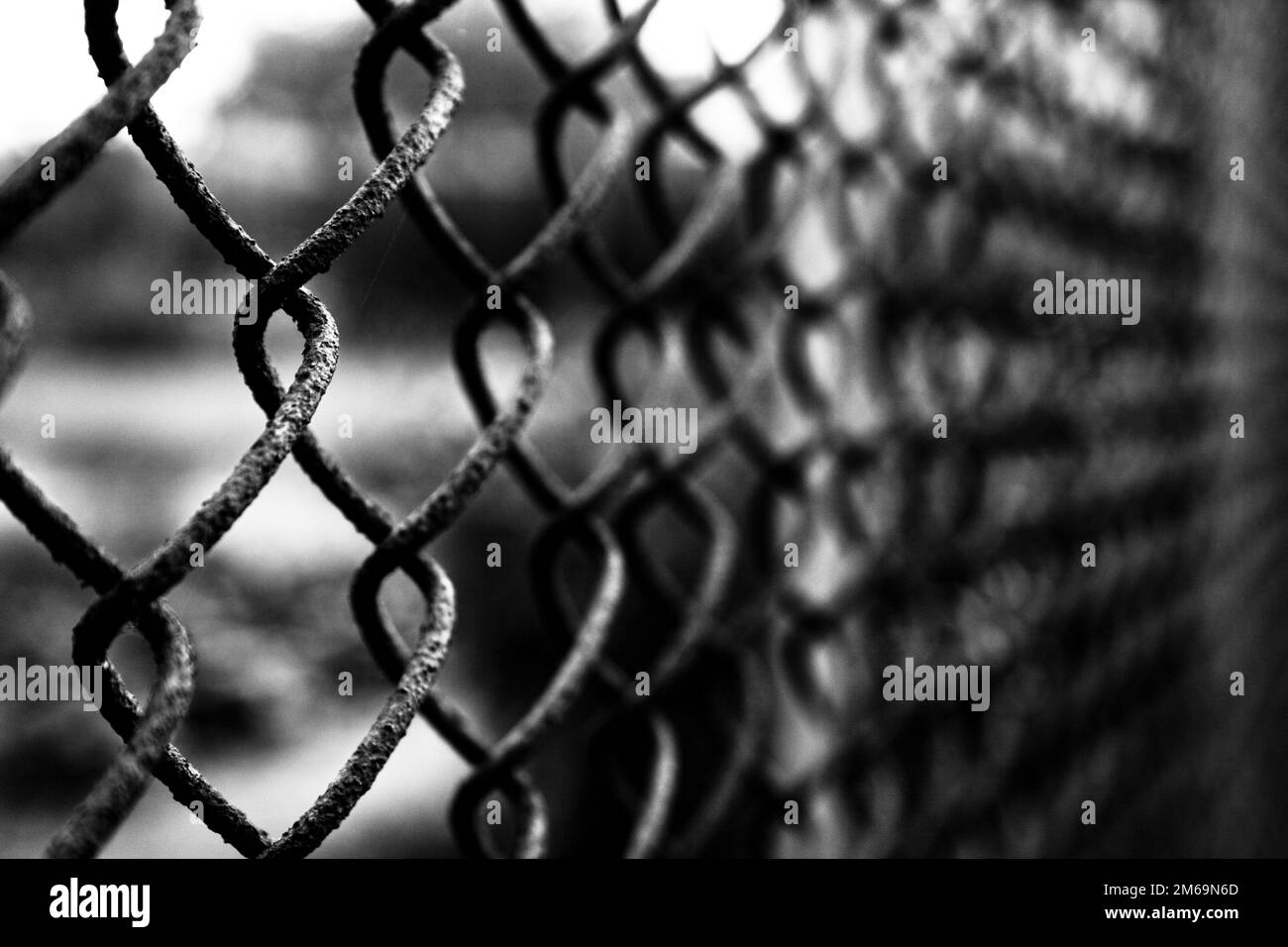 Recinzione da una griglia di metallo Foto Stock