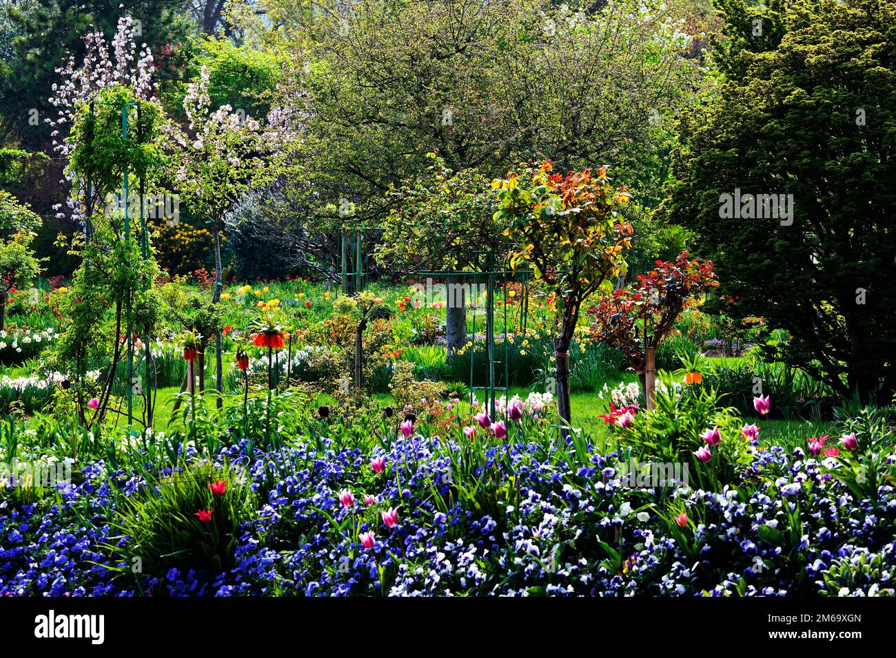 Monet, giardino di Giverny, Normandia, Francia Foto Stock