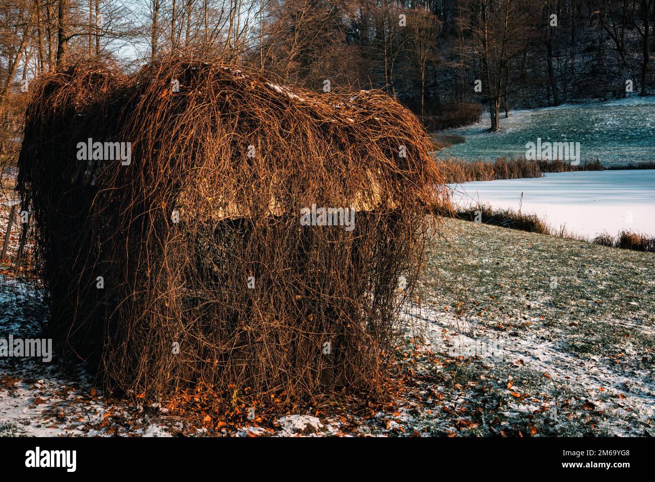 Scultura naturale nel giardino botanico invernale - Bydgoszcz Foto Stock