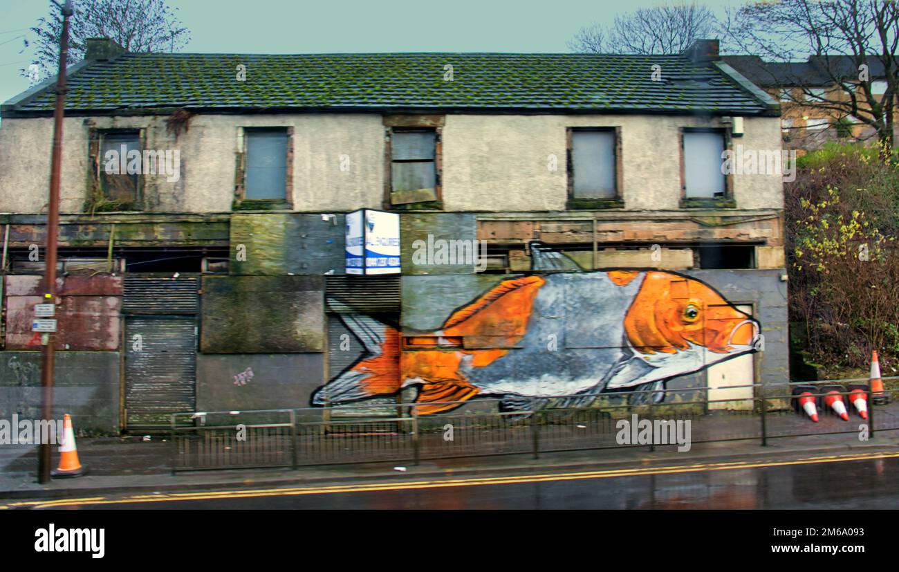 Glasgow, Scozia, Regno Unito 3rd gennaio 2023. UK Weather: Goldfish murale om derelict costruzione Maryhill Road. Le temperature gelide hanno lasciato il posto al tempo di sogno mentre le strade si sono bagnate durante la notte con le docce leggere. Credit Gerard Ferry/Alamy Live News Foto Stock