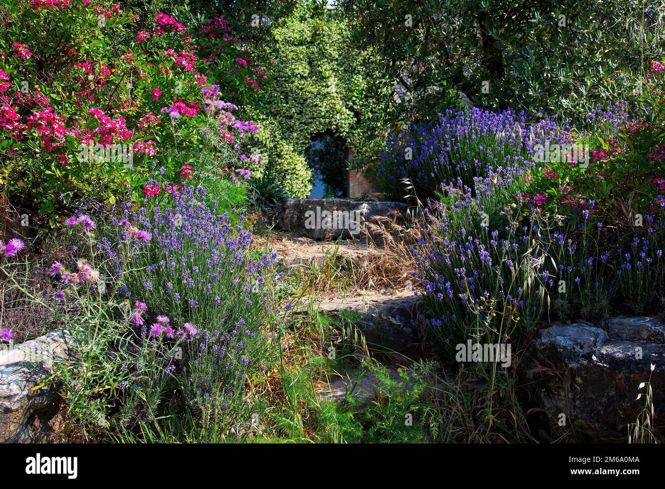 Steingarten, Gaiole in Chianti, Toskana, Italia Foto Stock