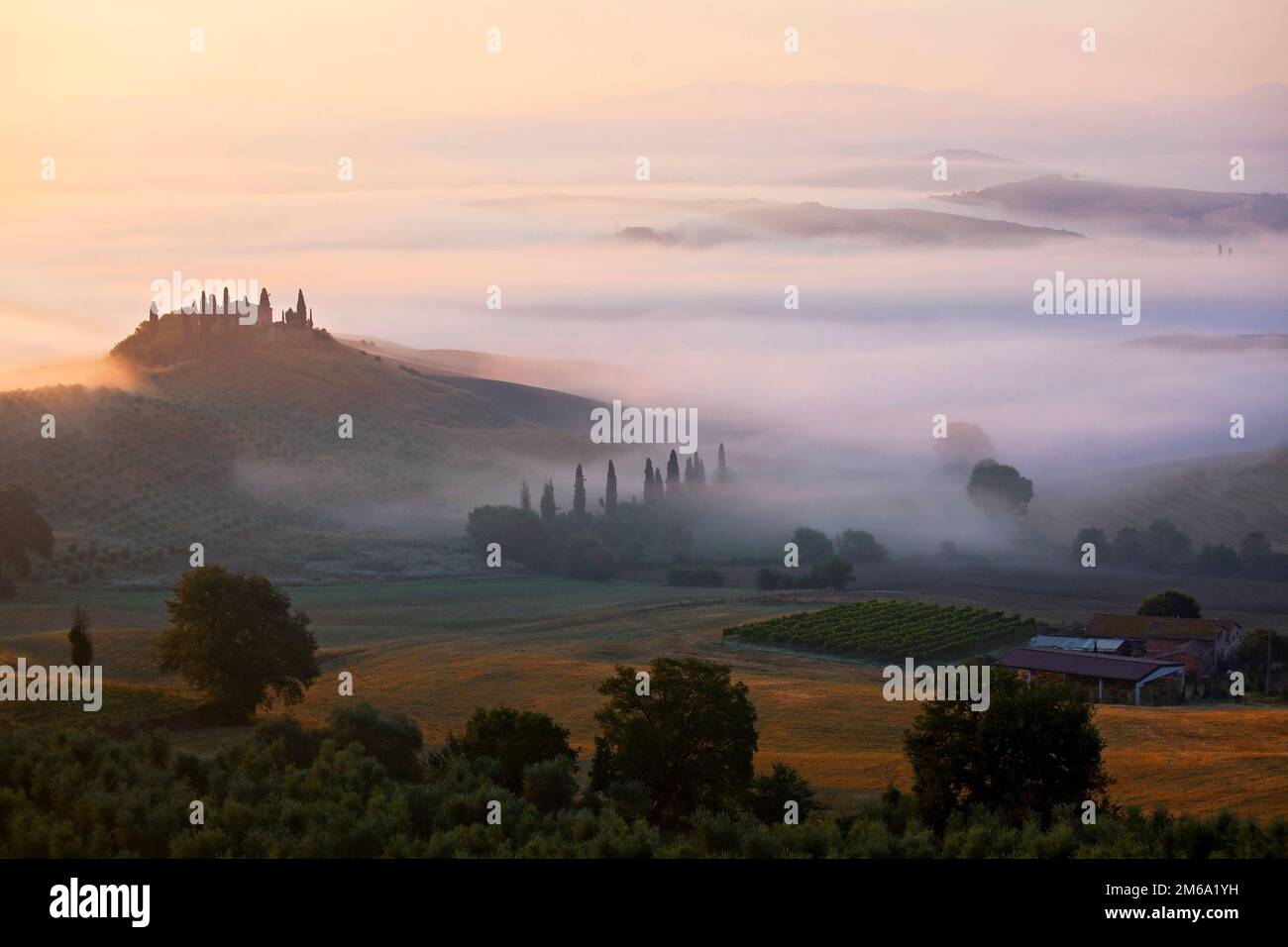 Val d'Orcia bei San Quirico d'Orcia, Toskana, Italia Foto Stock