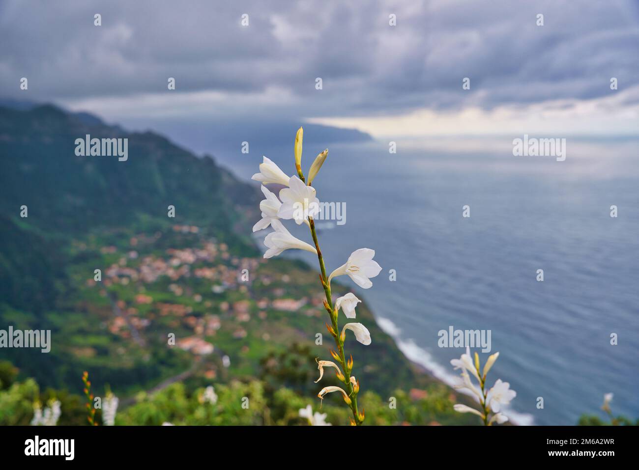 Vista delle splendide montagne e dell'oceano sulla costa settentrionale, sull'isola di Madeira, Portogallo Foto Stock