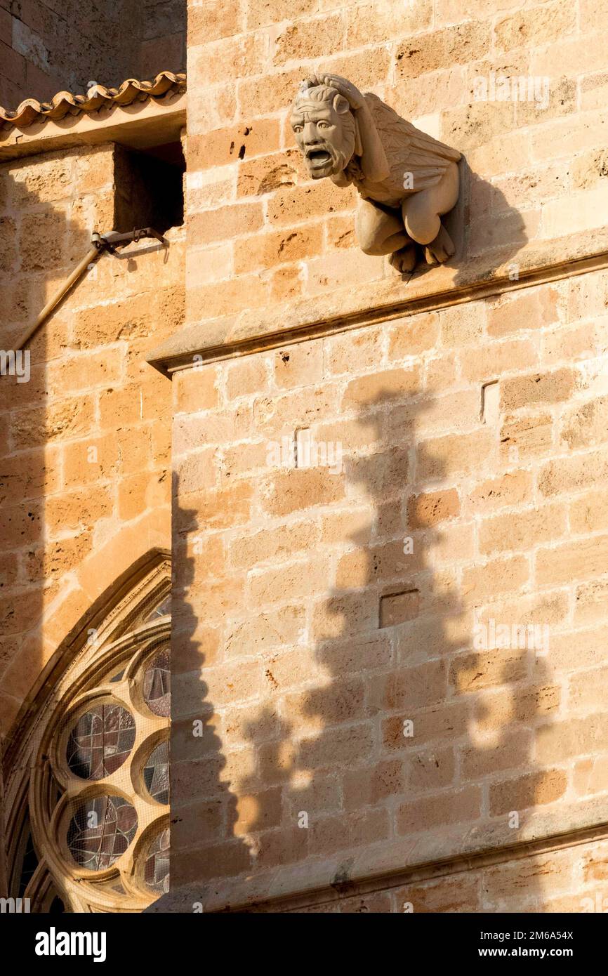 Gargoyle alla Cattedrale di Palma di Maiorca Foto Stock
