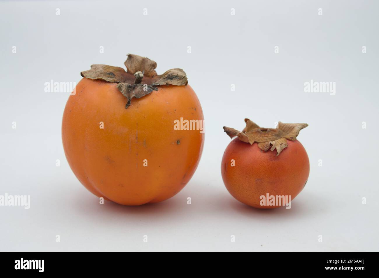 Immagine di alcuni persimmons di diverse dimensioni e tipologie su sfondo bianco Foto Stock
