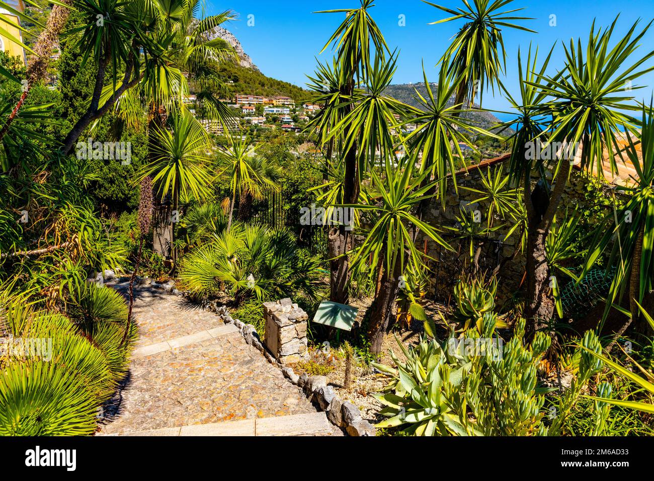 Eze, Francia - 1 agosto 2022: Giardino botanico esotico le Jardin de Exotique in cima alla collina del castello fortezza nella città storica di Eze a Azure Cosast Foto Stock