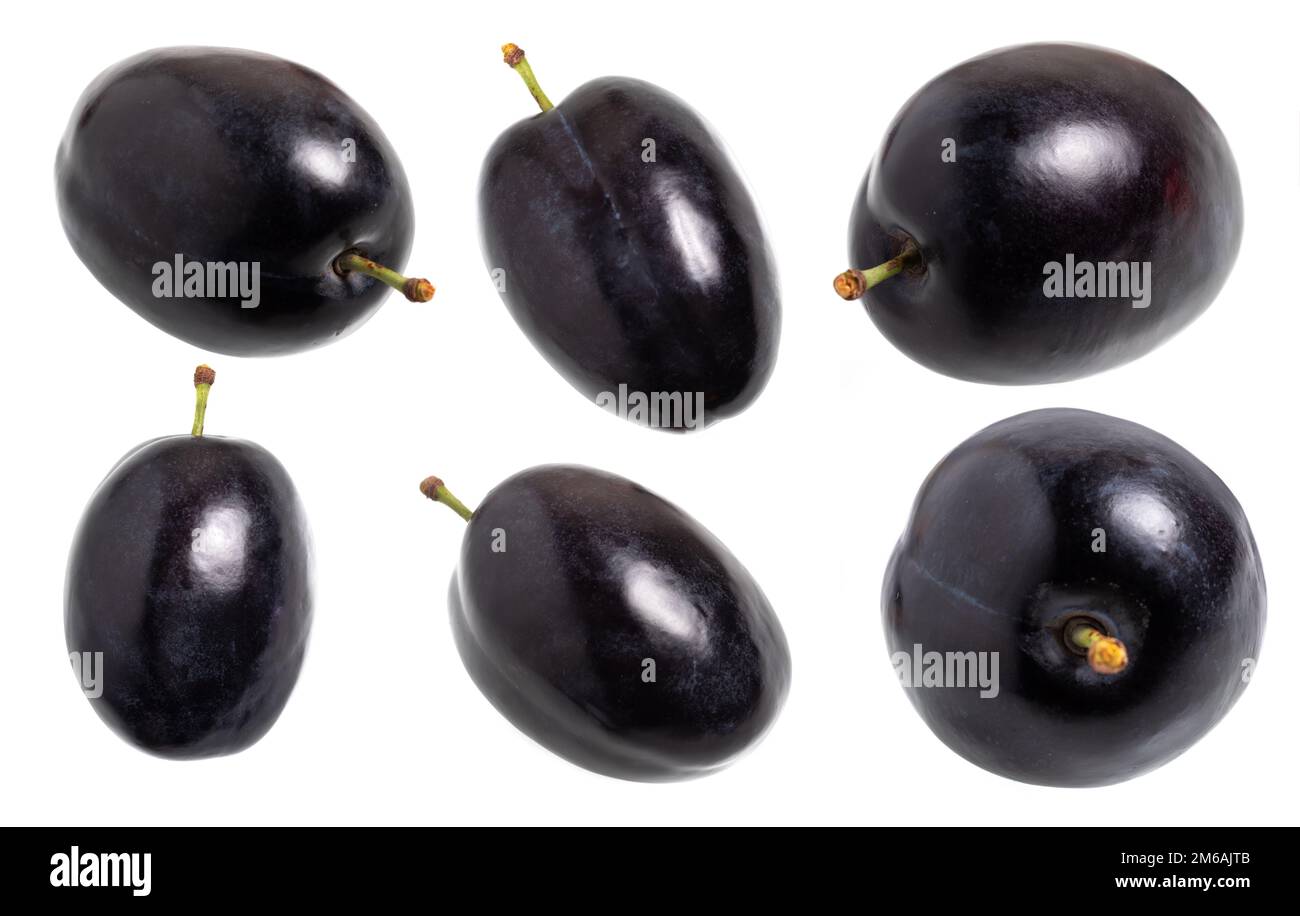 Prugne di raccolta isolate su sfondo bianco. Plum mezzo macro foto studio. Foto Stock