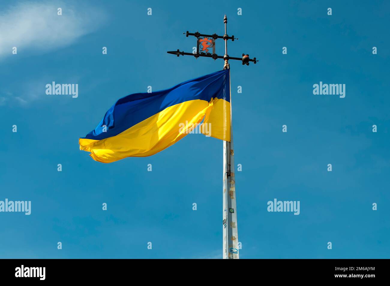 Felpa con cappuccio uomo stemma dell'Ucraina bandiera