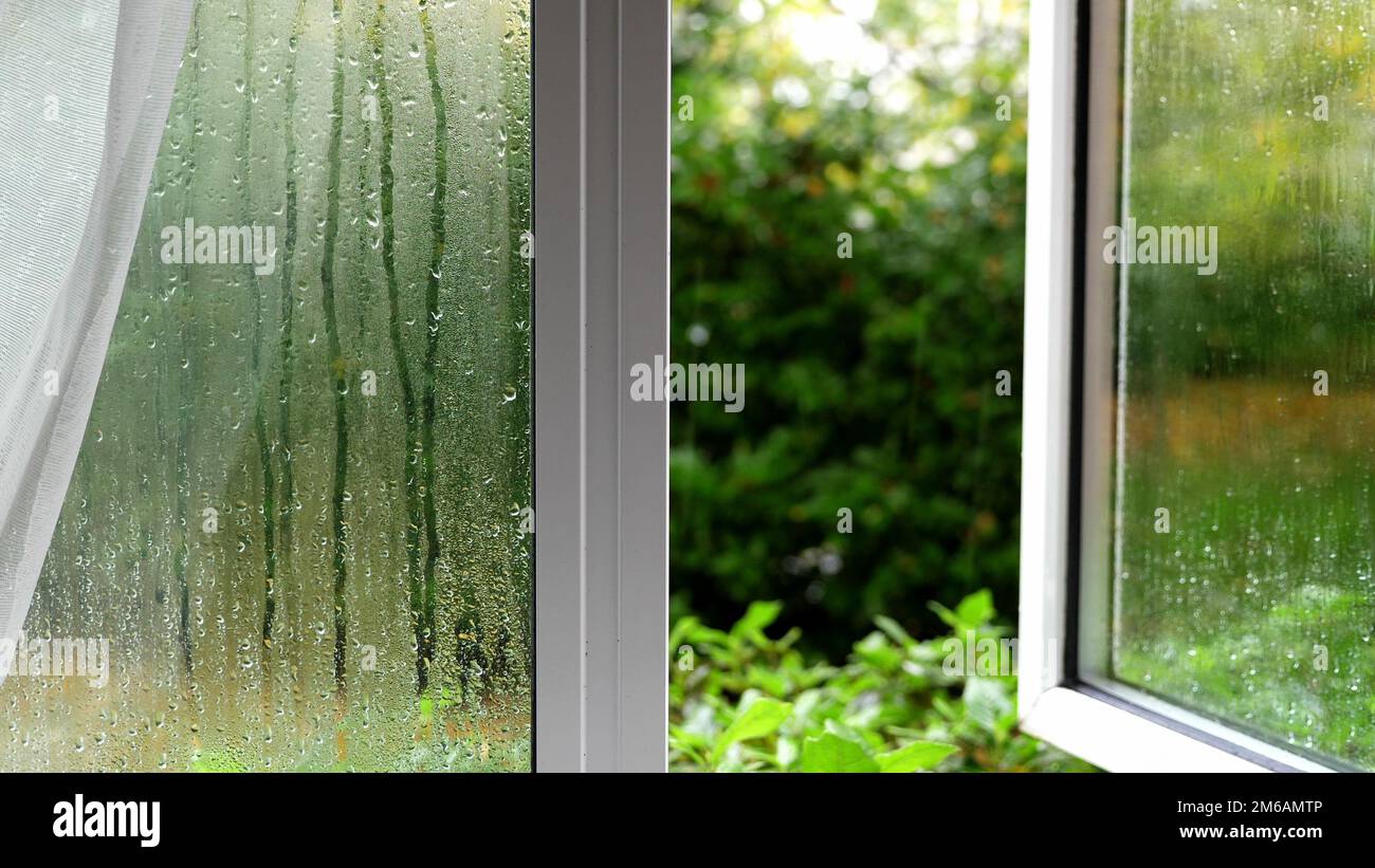 Vista dalla finestra principale aperta in un giardino. Vetro bagnato. Gocce sul vetro. Vista astratta. Foto Stock