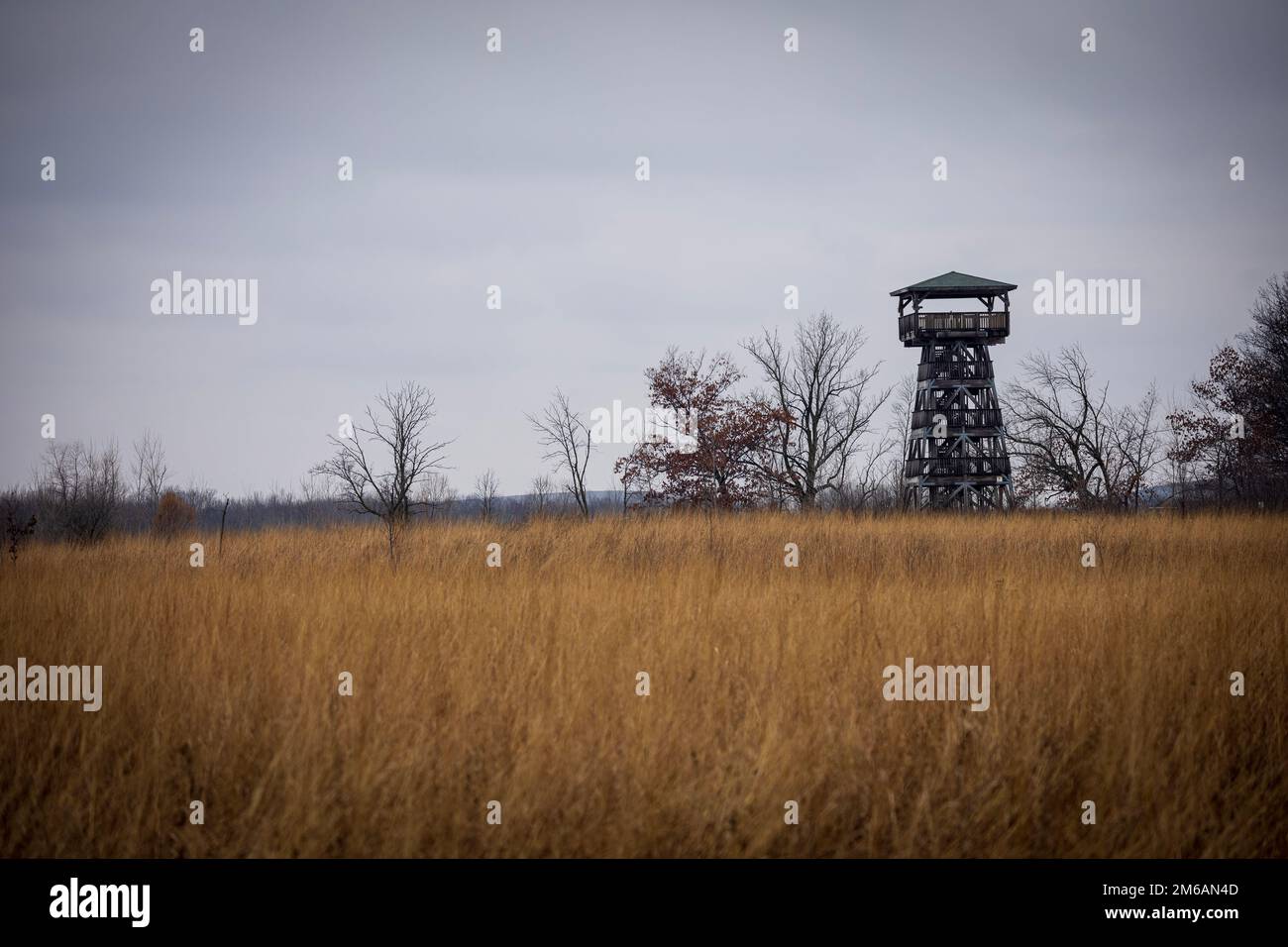 Torre di osservazione su prato erba Foto Stock
