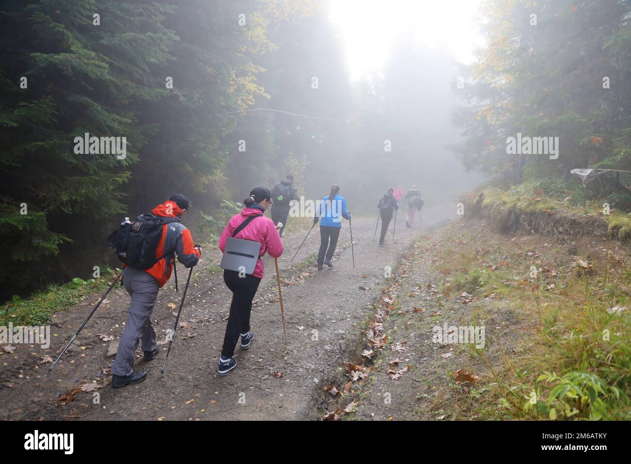 CARPAZI MONTAGNE, UCRAINA - 8 OTTOBRE 2022 Monte Hoverla. Carpazi in Ucraina in autunno. I turisti camminano attraverso colline e boschi per salire sulla cima del monte Hoverla Foto Stock