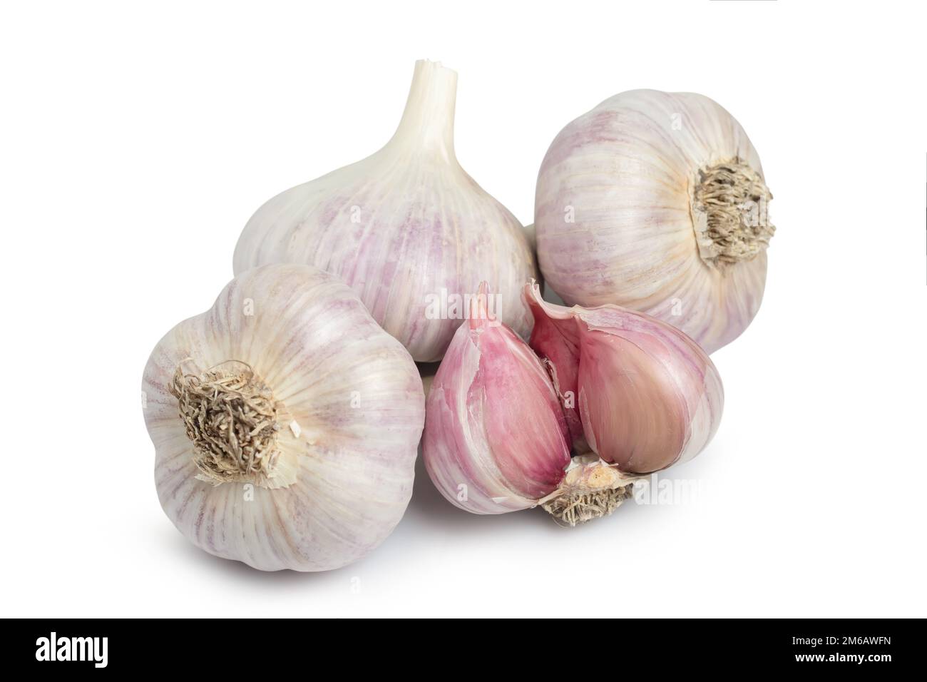 Aglio isolato. Aglio intero crudo isolato su fondo bianco. Foto Stock