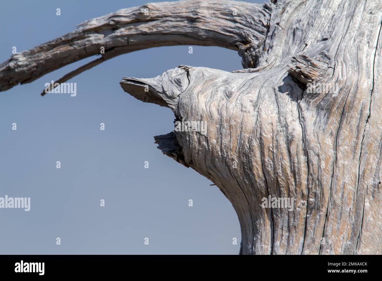 Foto creativa. Quebec Foto Stock