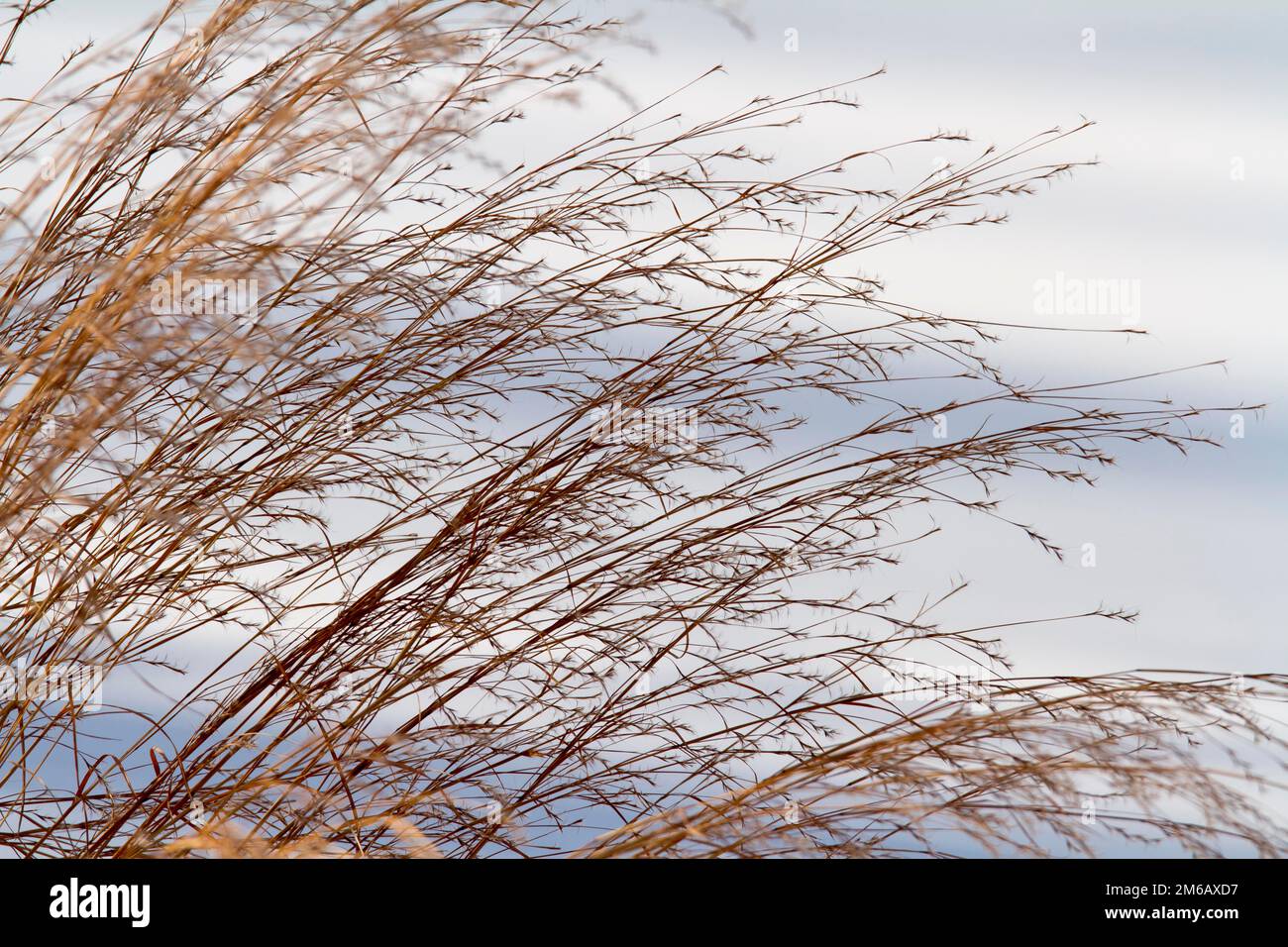 Foto creativa. Quebec Foto Stock