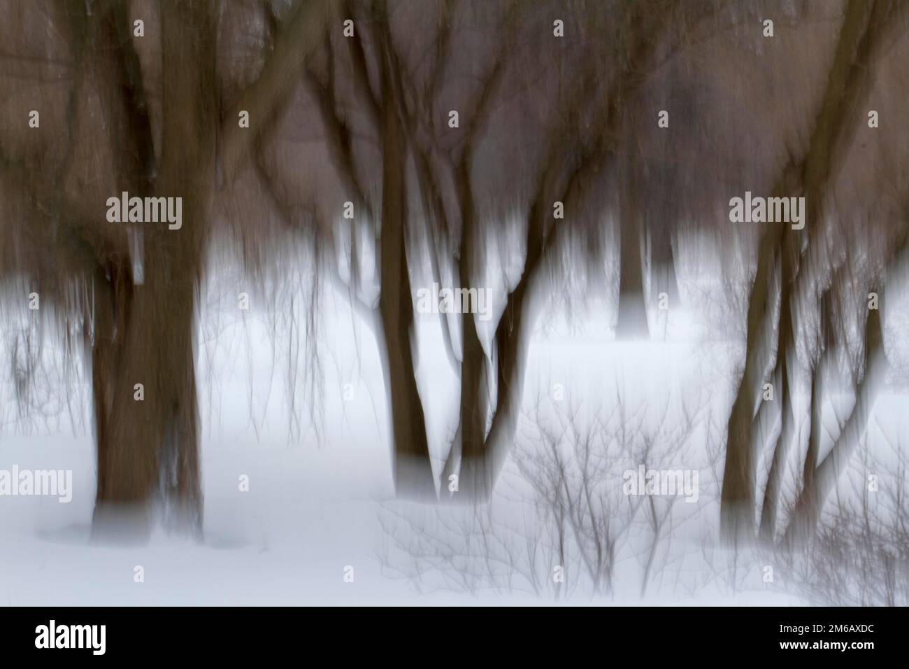 Foto creativa. Quebec Foto Stock