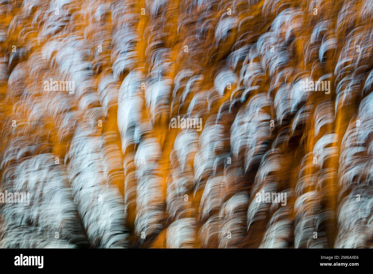 Foto creativa. Quebec Foto Stock