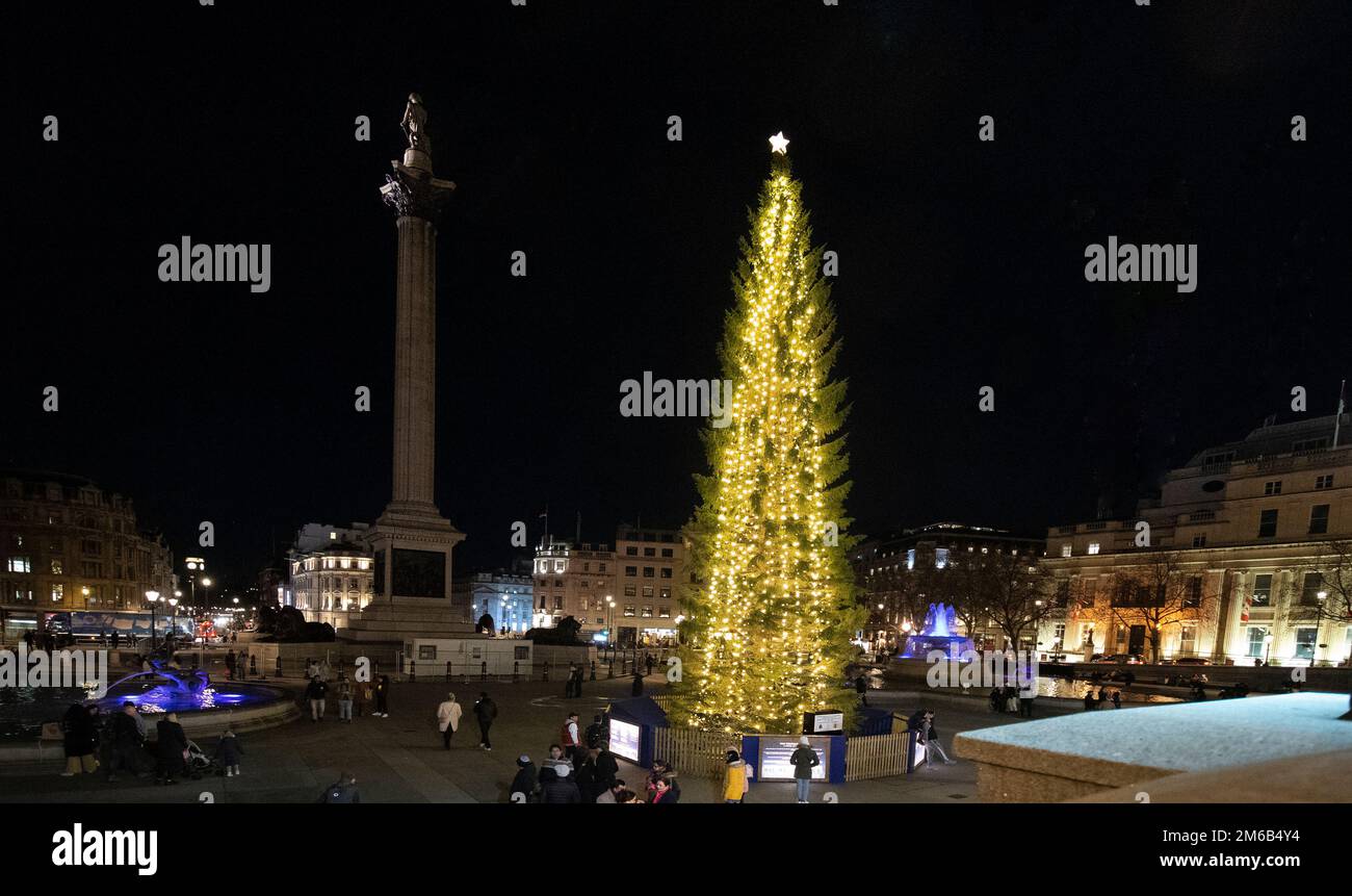 L'albero di Natale norvegese di abete alto gifted annuale in Trafalgar Square un utente di Twitter chiamato Norvegia 2022 albero di Natale che offre scrawny Foto Stock