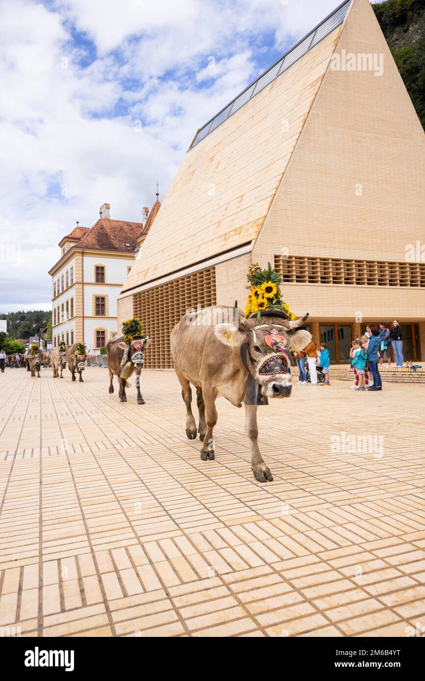 Alpabfahrt-Pradamee attraverso la Staedtle, Vaduz, Liechtenstein Foto Stock