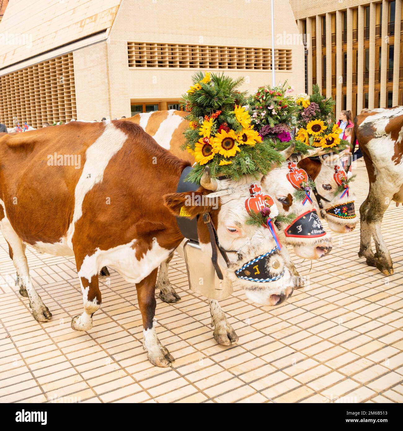 Alpabfahrt-Pradamee attraverso la Staedtle, Vaduz, Liechtenstein Foto Stock