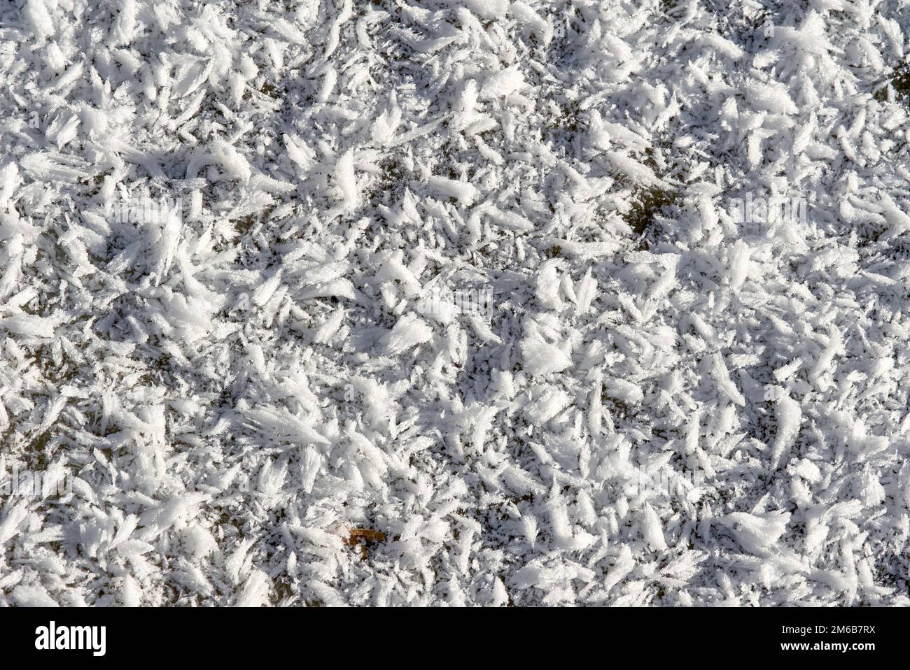 Neve ghiacciata Foto Stock