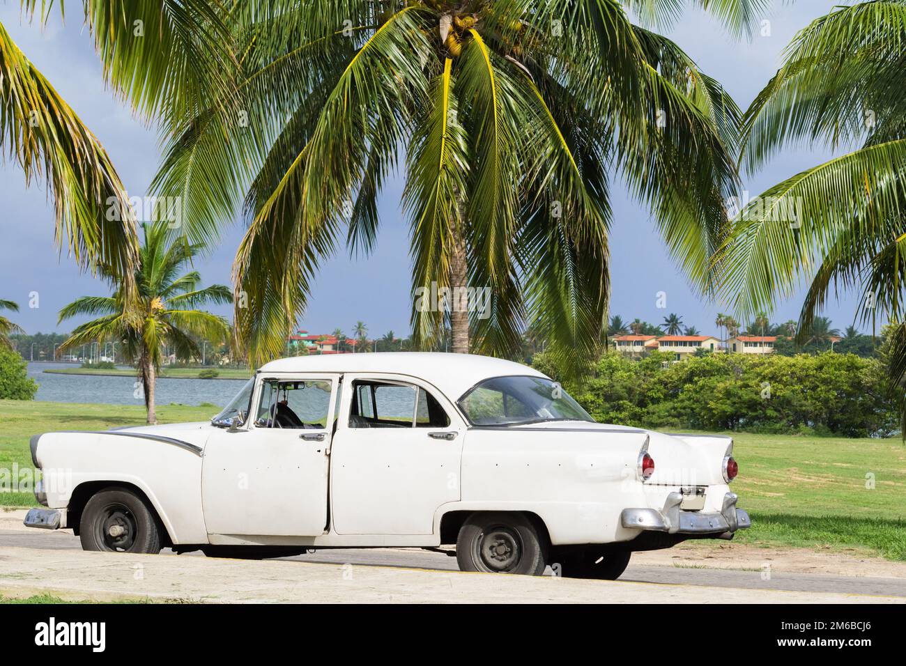 Bianco americano classico parcheggiato sotto le palme a l'Avana Cuba Foto Stock